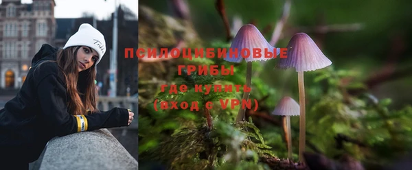 mdpv Новокубанск