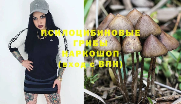 кристаллы Белокуриха