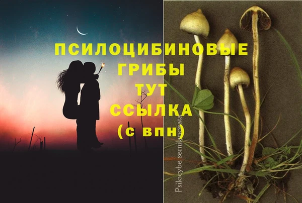 кристаллы Белокуриха