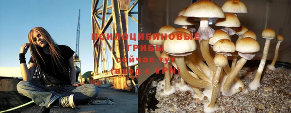 кристаллы Белокуриха