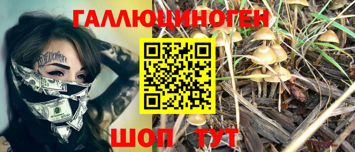 Галлюциногенные грибы Cubensis Апатиты