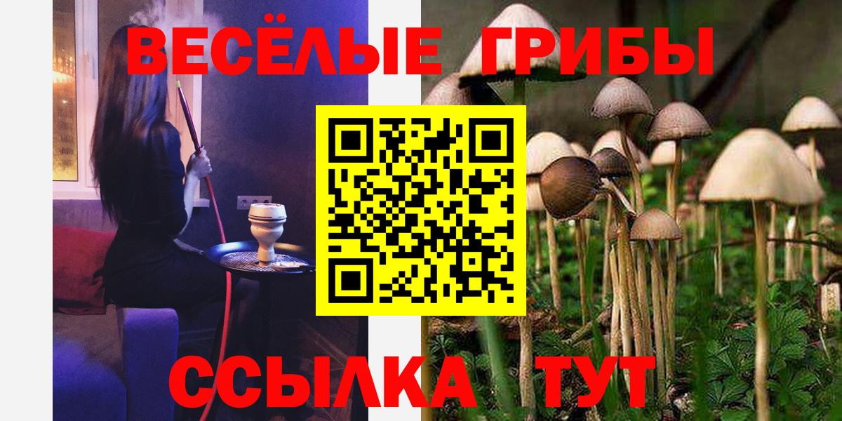 Псилоцибиновые грибы ЛСД Апатиты