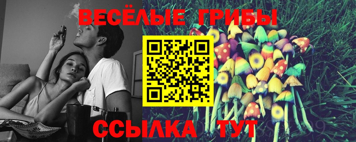 Псилоцибиновые грибы Cubensis  Вход с VPN  Апатиты 